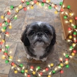 Meet your Posher, Sue